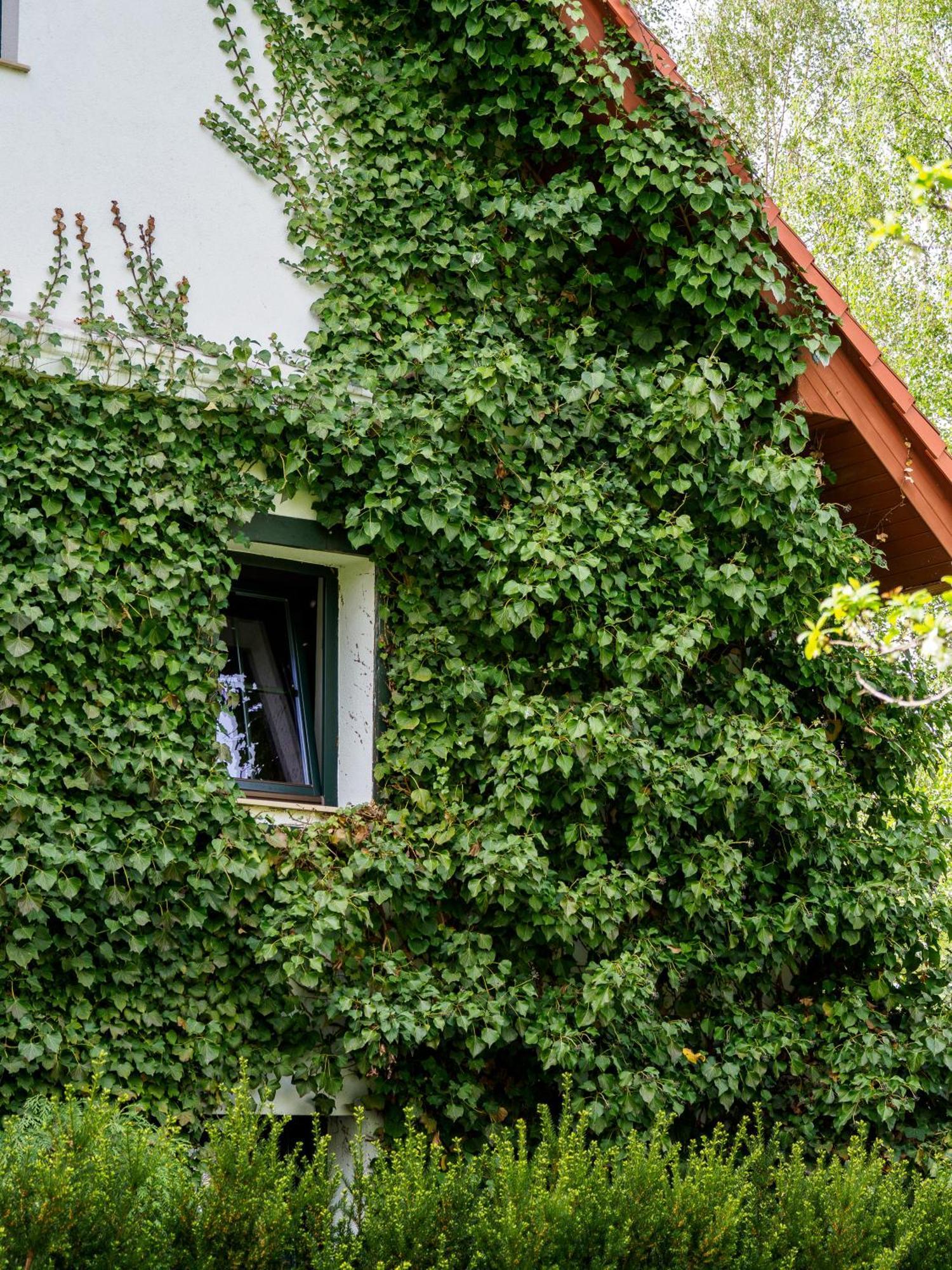 Hotel Plonica 1 Złoty Stok Esterno foto