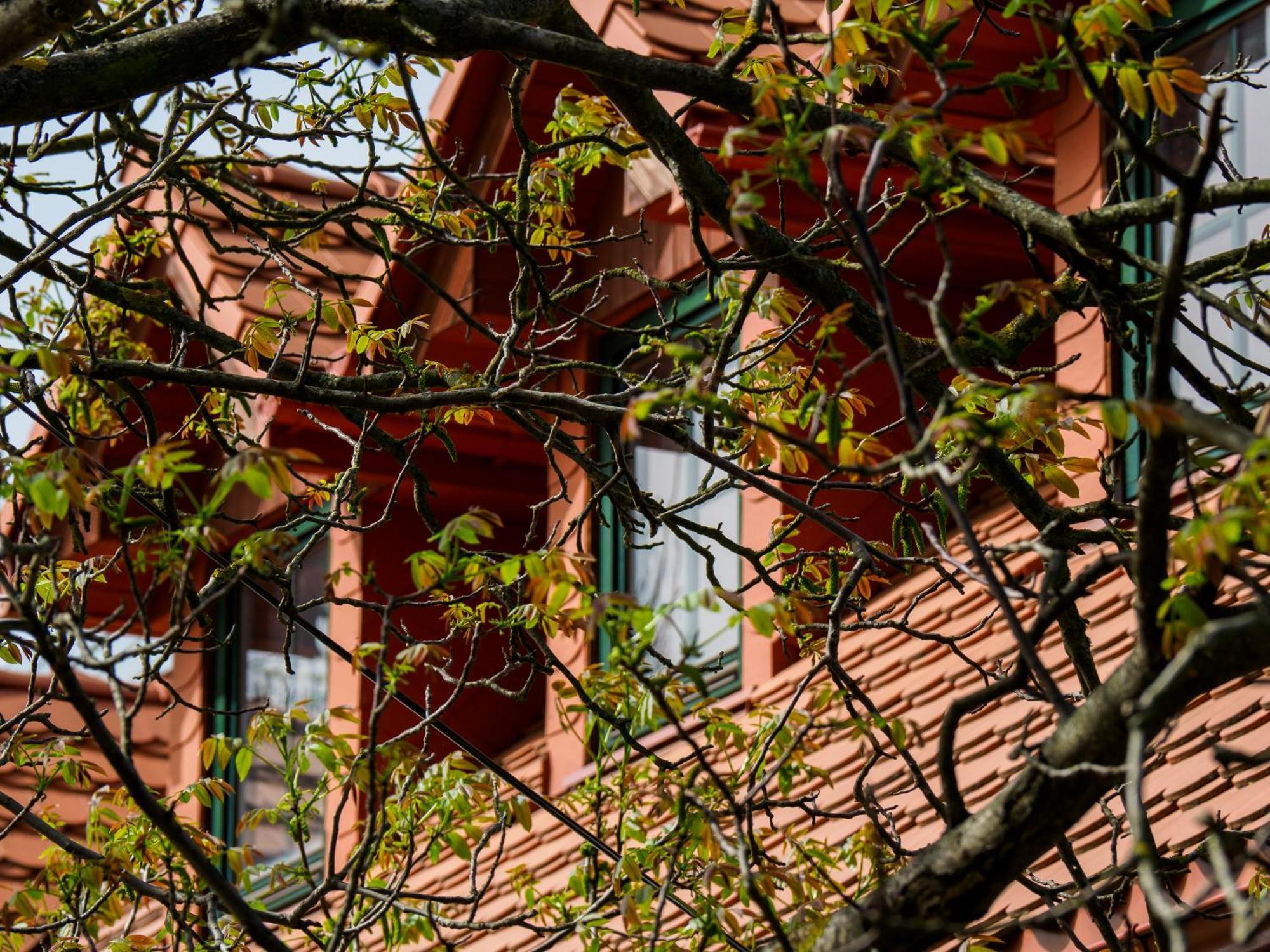 Hotel Plonica 1 Złoty Stok Esterno foto